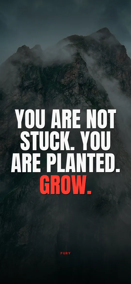 Motivational wallpaper: “You are not stuck. You are planted. Grow.”